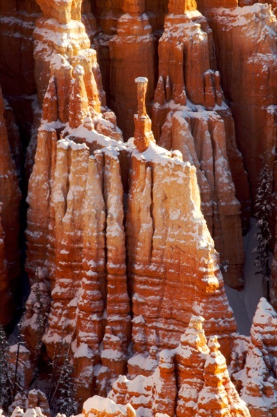 bryce canyon hoodoo closeup vertical.jpg